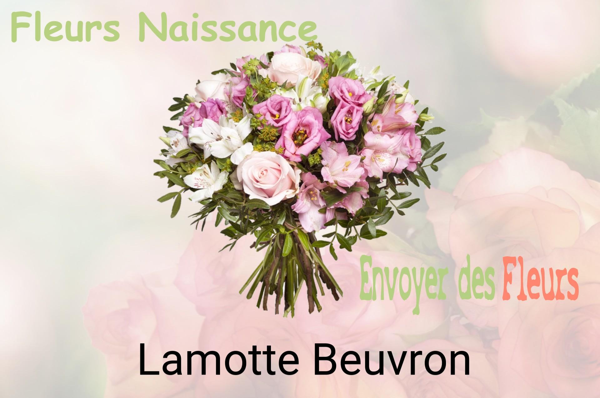 Bouquet de fleurs de naissance livré à Lamotte-Beuvron